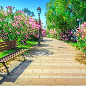 Polecane w Mieście - miasto.in