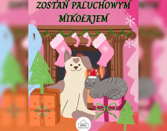 Zostań Paluchowym Mikołajem!