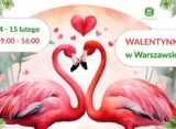 Plakat „Walentynki w Warszawskim ZOO” z parą flamingów układających szyje w serce, daty 14–15 lutego i godziny 9:00–16:00.