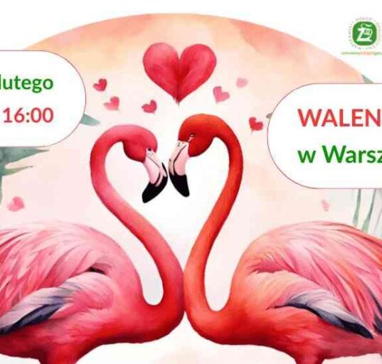 Plakat „Walentynki w Warszawskim ZOO” z parą flamingów układających szyje w serce, daty 14–15 lutego i godziny 9:00–16:00.