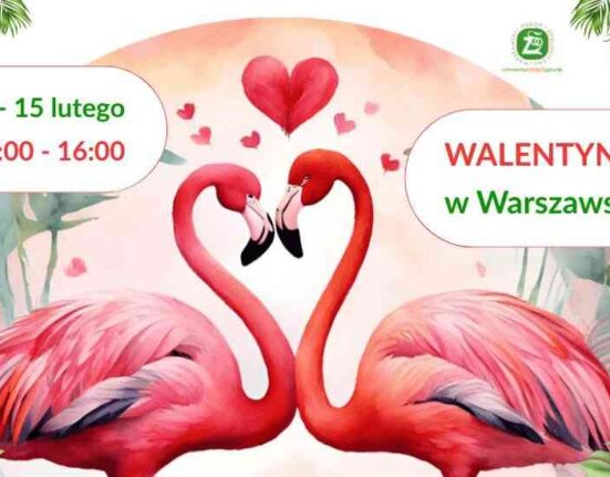 Plakat „Walentynki w Warszawskim ZOO” z parą flamingów układających szyje w serce, daty 14–15 lutego i godziny 9:00–16:00.