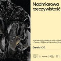 Plakat wystawy zbiorowej "Nadmiarowa rzeczywistość" w Galerii XX1 w Warszawie