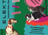 Plakat warsztatów szycia legowisk dla zwierząt "Dla mruczków i kundelków" w Warszawie
