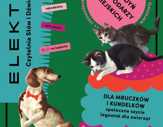 Plakat warsztatów szycia legowisk dla zwierząt "Dla mruczków i kundelków" w Warszawie