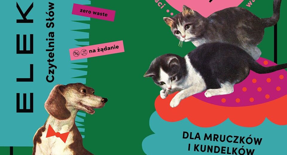 Plakat warsztatów szycia legowisk dla zwierząt "Dla mruczków i kundelków" w Warszawie