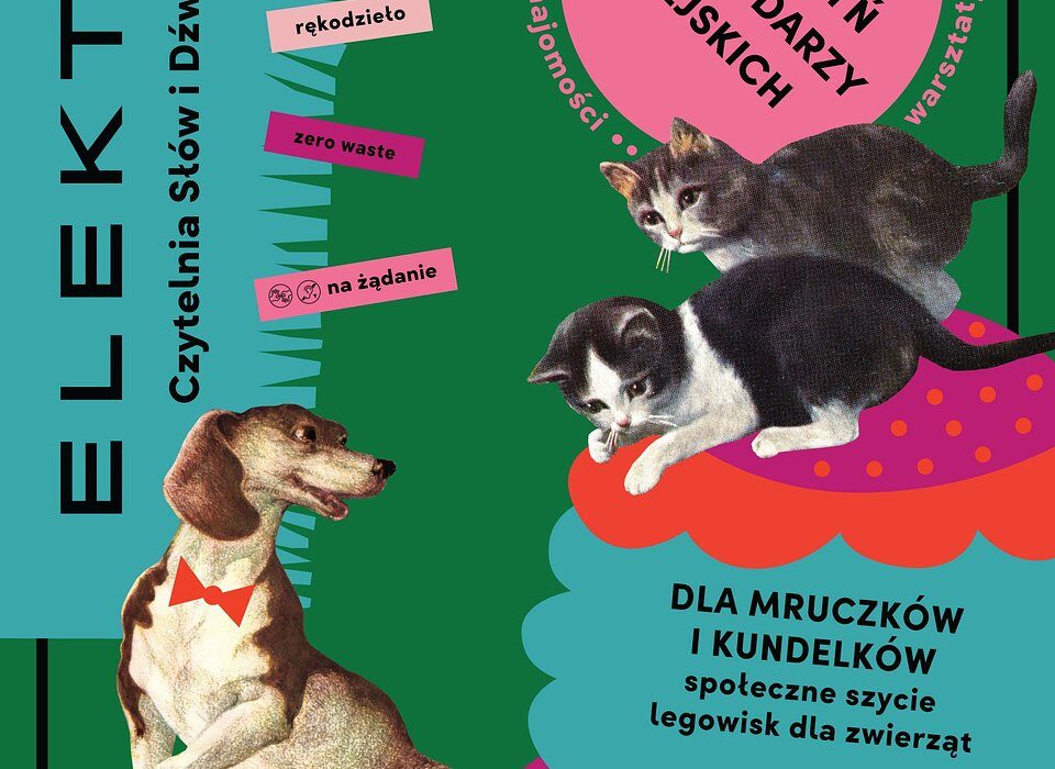 Plakat warsztatów szycia legowisk dla zwierząt "Dla mruczków i kundelków" w Warszawie
